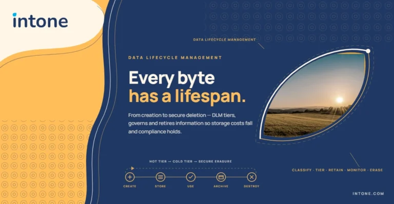 Data Lifecycle Management: A Strategic Enterprise Guide to DLM 